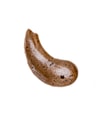 Productafbeelding 3 van 6, Coco & Eve Sunny Honey Zelfbruinende mousse