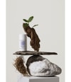 Productafbeelding 3 van 5, GREENBORN Gentle Man Deodorant Stick