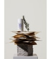 Produktbild 4 von 6, GREENBORN New Roots Deodorant Stick