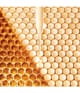 Produktbild 5 von 6, GUERLAIN Abeille Royale Gesichtslotion