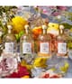 Zdjęcie produktu 4 z 6, GUERLAIN Aqua Allegoria Woda toaletowa