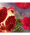 Zdjęcie produktu 3 z 6, GUERLAIN Aqua Allegoria Woda toaletowa
