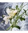 Zdjęcie produktu 3 z 6, GUERLAIN Aqua Allegoria Woda toaletowa