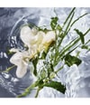 Zdjęcie produktu 3 z 6, GUERLAIN Aqua Allegoria Woda toaletowa