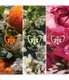 Zdjęcie produktu 4 z 6, GUERLAIN Aqua Allegoria Woda perfumowana