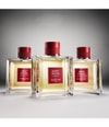 Zdjęcie produktu 3 z 3, GUERLAIN Habit Rouge Woda perfumowana