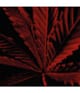 Zdjęcie produktu 6 z 6, GUERLAIN Habit Rouge Woda toaletowa