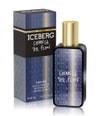Produktbillede 2 af 5, Iceberg Change the Flow Eau de Toilette