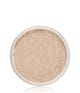Produktbild 1 von 4, IDUN Minerals Foundation Mineral Make-up