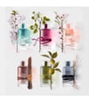 Image du produit 5 sur 5, Karl Lagerfeld Bois d'Ambre Eau de toilette