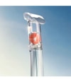 Produktbild 5 von 6, KENZO Flower by Kenzo Eau de Toilette