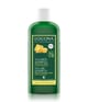 Produktbillede 2 af 2, Logona Øl og økologisk honning Shampoo