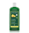 Obrázek produktu 2 z 2, Logona Volumen Shampoo Šampon