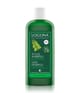 Logona Bio-Brennnessel Shampoo 250 ml 4017645008045 packShot