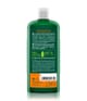 Logona Bio-Sanddorn Schampo 250 ml 4017645019720 pack-shot_se