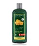 Produktbillede 1 af 2, Logona Øl og økologisk honning Shampoo