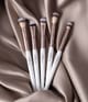 Luvia Essential Eye Set Sminkborstset 1 st 4260376614737 visual2-shot_se