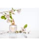M.Micallef Ananda Eau de Parfum 100 ml 3760060775146 detail-shot_se