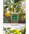 Produktbild 3 von 5, Mizensir Vert Empire Eau de Parfum