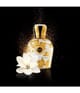 MORESQUE Art Collection Eau de Parfum 50 ml 8051277311834 detail-shot_se