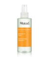 Produktbild 1 von 3, Murad Environmental Shield Reinigungslotion