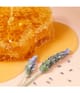 Image du produit 4 sur 6, NUXE Rêve de Miel Baume à lèvres
