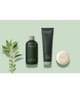 Produktbild 2 von 2, PAYOT Essentiel Conditioner