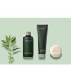 Produktbild 2 von 2, PAYOT Essentiel Haarshampoo