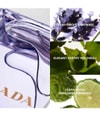 Produktbild 3 von 4, Prada Amber pour Homme Eau de Toilette