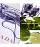 Produktbild 3 von 4, Prada Amber pour Homme Eau de Toilette