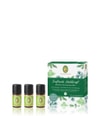 Produktbillede 1 af 2, Primavera Duftende Waldkraft Duftsæt