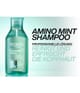 Zdjęcie produktu 5 z 6, Redken Amino Mint Szampon do włosów