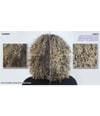 Immagine prodotto 4 di 6, Redken blondage high bright Shampoo per capelli