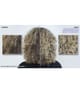 Produktbild 4 av 6, Redken blondage high bright Schampo