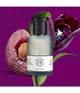 Zdjęcie produktu 3 z 4, SHAY & BLUE Black Tulip Woda perfumowana