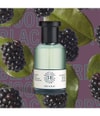 Zdjęcie produktu 2 z 3, SHAY & BLUE Blackberry Woods Woda perfumowana
