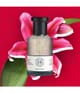 Zdjęcie produktu 2 z 3, SHAY & BLUE Scarlet Lily Woda perfumowana