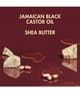 Produktbild 2 von 5, Shea Moisture Jamaican Black Castor Oil Haarshampoo