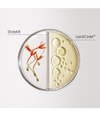 Image du produit 5 sur 6, System Professional LipidCode LuxeBlond Lotion capillaire