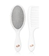 Produktbillede 1 af 3, T3 Detangle Duo Hårstylingssæt