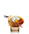 Produktbillede 2 af 6, THoO Golden Powder Eau de Parfum