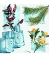 Produktbillede 3 af 3, Tiffany & Co. & Love for Her Eau de Parfum