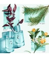Produktbild 3 von 3, Tiffany & Co. & Love for Her Eau de Parfum