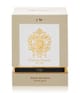 Produktbild 3 von 3, Tiziana Terenzi Eclix Parfum