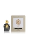 Produktbild 2 von 5, Tiziana Terenzi Hale Bopp Parfum