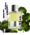 Produktbild 3 von 3, TOM FORD Signature Eau de Parfum