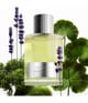 Produktbild 3 von 3, TOM FORD Signature Eau de Parfum