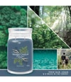 Produktbild 3 av 3, Yankee Candle Bayside Cedar Doftljus
