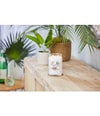Produktbild 2 von 3, Yankee Candle Coconut Beach Duftkerze