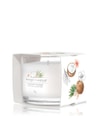 Produktbild 1 von 3, Yankee Candle Coconut Beach Duftkerze
